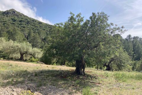 Landejendom i El Perello, Tarragona, El Perello - € 74.000 | Ref: FincaVistaValle - foto 30